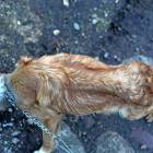 fot. internet/facebook.com/otoz.animals