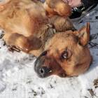 fot. internet/facebook.com/otoz.animals