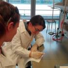 fot. nadesłane/LO Kartuzy