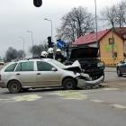 zdjęcie nr 11