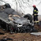 zdjęcie nr 10