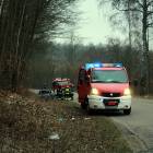 fot. MSz