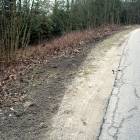 zdjęcie nr 16