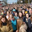zdjęcie nr 12