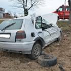 zdjęcie nr 7