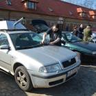 zdjęcie nr 8