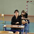 zdjęcie nr 13