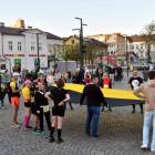 zdjęcie nr 12