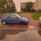 Fotka nr 1 z 9