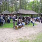 zdjęcie nr 13