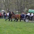 zdjęcie nr 14