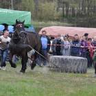 zdjęcie nr 75