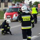 zdjęcie nr 15