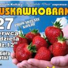 fot. nadesłane
