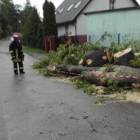 fot. internet/OSP Mirachowo