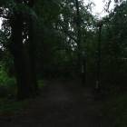 zdjęcie nr 7