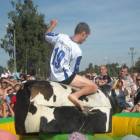 zdjęcie nr 10