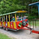 zdjęcie nr 79