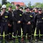 zdjęcie nr 100