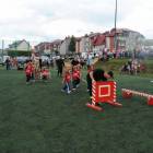 zdjęcie nr 41