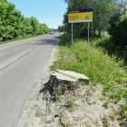 zdjęcie nr 16
