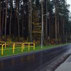 zdjęcie nr 7
