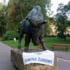 zdjęcie nr 12