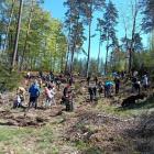 zdjęcie nr 30
