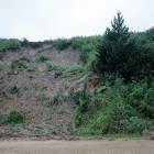 zdjęcie nr 11