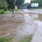 zdjęcie nr 17