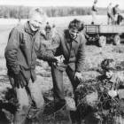 Aktywność pozaszkolna uczniów - 1974 r. /fot. nadesłane/ZST w Kartuzach