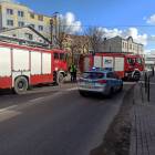 Fotka nr 5 z 19