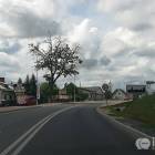 Fotka nr 4 z 15