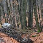 zdjęcie nr 18