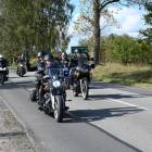 zdjęcie nr 50