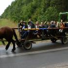Fotka nr 1 z 93