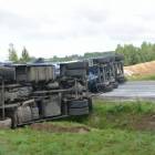 zdjęcie nr 13