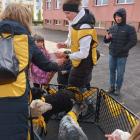 zdjęcie nr 49