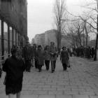 zdjęcie nr 49