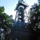 zdjęcie nr 51