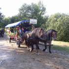 fot. Longina Templin