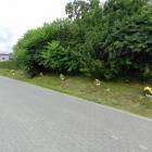 zdjęcie nr 8