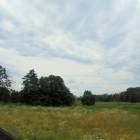 fot. nadesłane