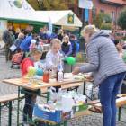 zdjęcie nr 42