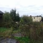 zdjęcie nr 4