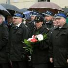 zdjęcie nr 25