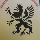 zdjęcie nr 9