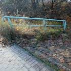 fot. MSz