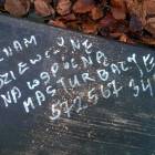 zdjęcie nr 9