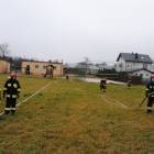 zdjęcie nr 46